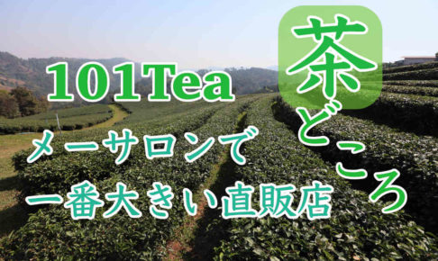 メーサロンの茶畑101tea