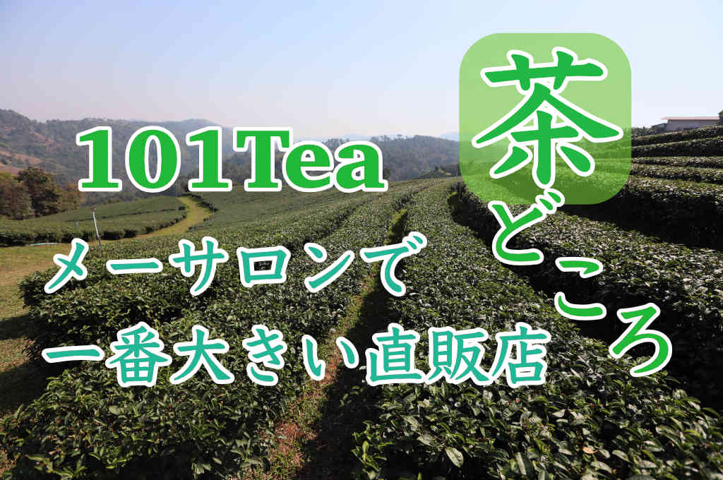 メーサロンの茶畑101tea